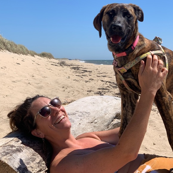 Meet your Posher, Josey - Picture 1 of 3